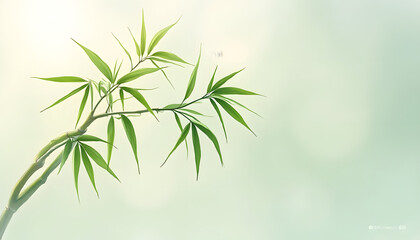 Fototapeta premium Elegant bamboo branch with lush green leaves in soft lighting, minimalistic Asian art-inspired style