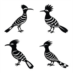 Creative Hoopoe Bird Vector Icon for Digital & Print Projects.