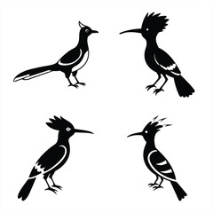 Hoopoe Silhouette Vector Icon Set Perfect for Logos & Artwork.