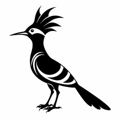Elegant Hoopoe Bird Silhouette Vector for Branding & Graphics.
