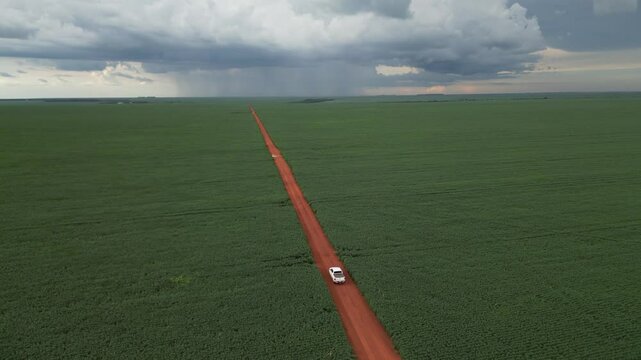 Soybean planting field in Brazil with harvesters (Campo de plantio de soja no brasil com colheitadeiras)