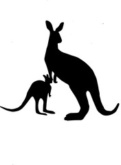kangaroo with baby