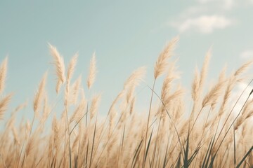 Fototapeta premium Grass lawn wallpaper sky backgrounds outdoors.