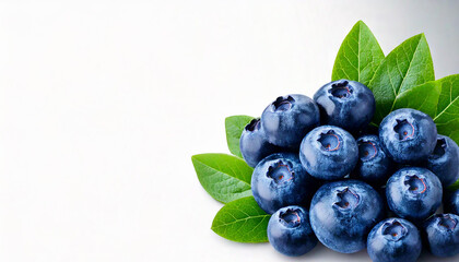 Blueberries and leaves isolated on white background with white blank space.