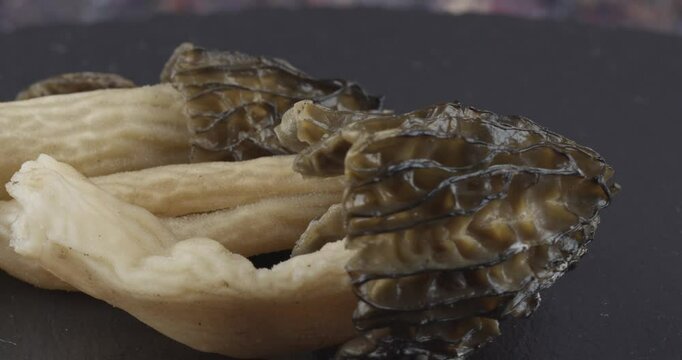 fresh black morels closeup rotating selective focus 4k 30fps