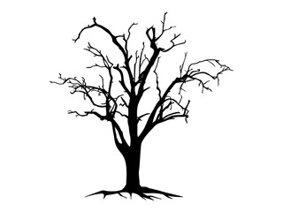 Black Branch Tree or Naked trees silhouettes. Hand drawn isolated illustrations.