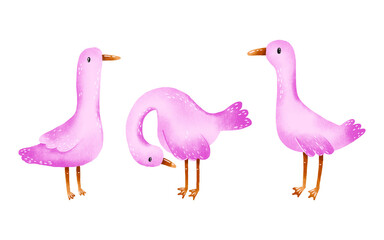 Pink silly goose set. Geese hand drawn illustration. Farm birds, ducks. Hand drawn baby art