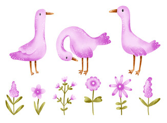 Pink silly goose set with field wildflowers. Geese hand drawn illustration. Farm birds, ducks. Hand drawn baby art. Spring
