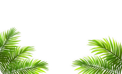 Fototapeta premium Green leaves Plant isolated