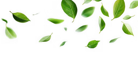 Green Floating Leaves Flying Leaves Green Leaf Dancing, Air Purifier Atmosphere Simple Main Picture.