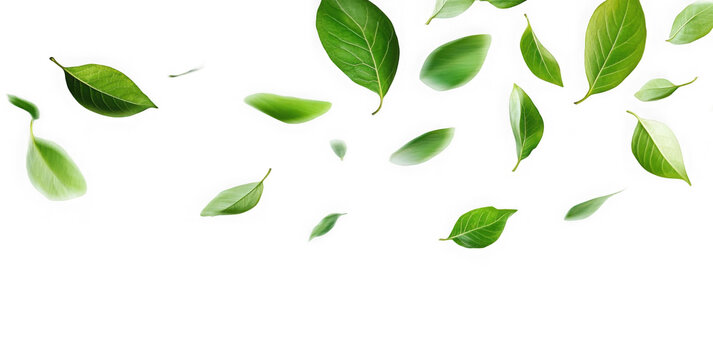 Green Floating Leaves Flying Leaves Green Leaf Dancing, Air Purifier Atmosphere Simple Main Picture.