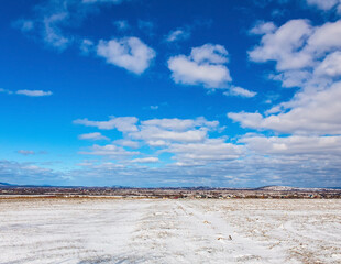 Landscapes - Forest - Europe, Romania, Suceava region 