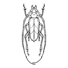 a black and white drawing of a majestic longhorn beetle, vector graphic for nature design