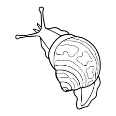 a black and white drawing of a snail, vector graphic for nature and wildlife design