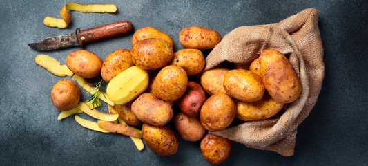 Sack of fresh raw potatoes. Organic raw peeled potatoes. On a gray textured background.