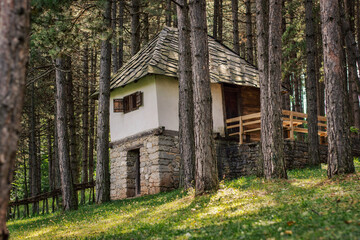 Traditional Serbian mountain stone house in the pine forest
