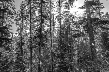 A couple of young people are walking through a field