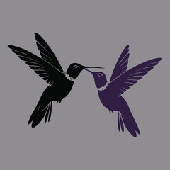 Fototapeta premium hummingbird modern logo design vector template. black and white bagraound