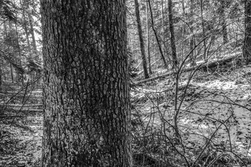 A couple of young people are walking through a field