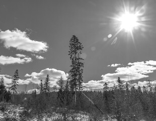 A couple of young people are walking through a field