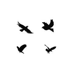 Bird silhouette
