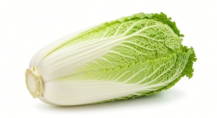 A fresh Napa cabbage with crisp, green outer leaves and a firm white base, isolated on a white background.