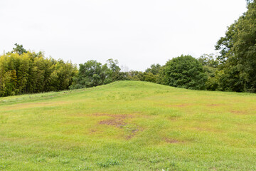 馬見丘陵公園の広々とした草原
