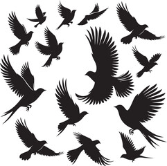 Fototapeta premium birds silhouette victor design isolated on the white background.