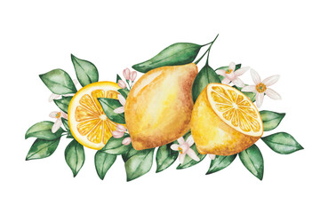 Watercolor illustration. Hand painted lemons with green leaves, flowers, branches. Cut in half, sliced lemons. Tropical citrus fruits. Fresh juice ingredient. Vitamin C. Isolated food clip art