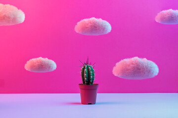A cactus in a pot stands on a surface, surrounded by floating fluffy clouds against a pink-purple...