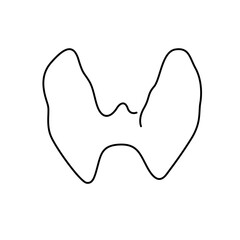 line art thyroid gland