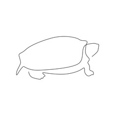 logo turtle