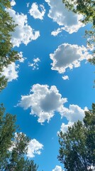 A serene view of fluffy white clouds against a bright blue sky surrounded by trees