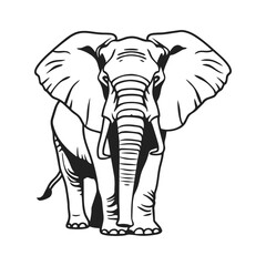 Modern Elephant Contour Vector Artwork
