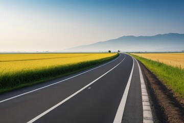 Fototapeta premium arafed road with a yellow field and a mountain in the distance