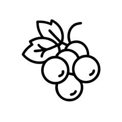 blackcurrant icon design