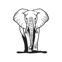 Simple Elephant Line Art Silhouette Design