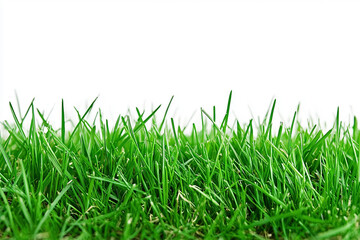 Fototapeta premium Perfect green Grass, Isolated. Generative AI