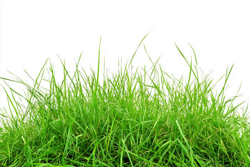 Obraz premium Perfect green Grass, Isolated. Generative AI