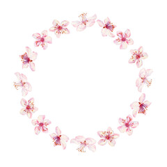 Wreath of sakura flowers isolated on a white background. Spring blooming cherry blossom flowers for Hanami festival. Delicate shades of pink, lilac, violet petals. Watercolor template for card, poster