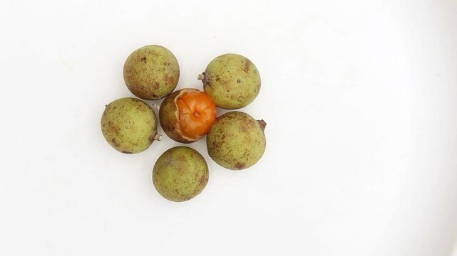 Top View of Schleichera Oleosa or Kusum Fruit Isolated on White Background