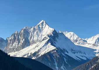 Obraz premium Winter mountain landscape; Snow covered trees in mountains