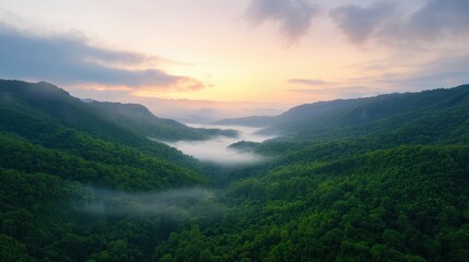 Fototapeta premium A serene landscape showcasing a misty valley surrounded by lush green hills under a beautiful sunrise.