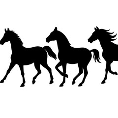 silhouette of horses