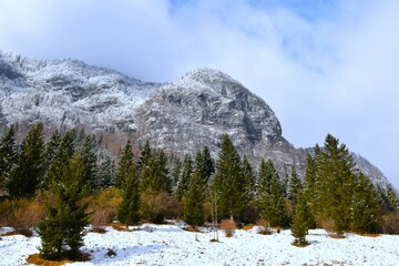 Fototapeta premium Mountains above Voje and a coniferous spruce forest and white snow covered meadow bellow in Gorenjska, Slovenia