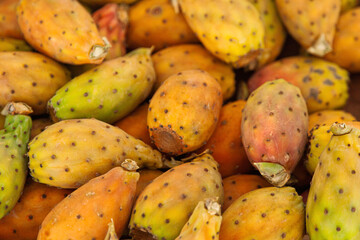 A close-up of fresh prickly pears displaying a mix of green, yellow, and reddish hues. The fruits have a dotted surface with small spines and rough textures