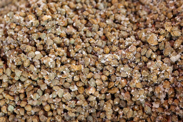 A close-up of salted capers, small greenish-brown flower buds preserved in coarse salt. These flavorful ingredients are commonly used in Mediterranean cuisine