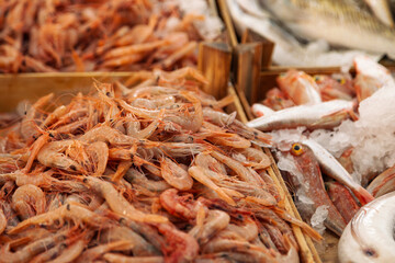 Fresh Shrimp and Fish Displayed in Wooden Crates at Market