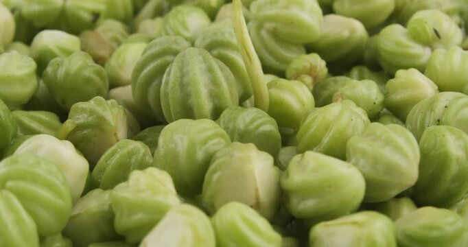 fresh nasturtium fruits for preparing nasturtium capers closeup rotating selective focus 4k 30fps