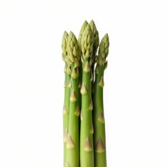 Fresh Green Asparagus Spears Standing Tall Vegetable Nutritious Food Healthy Diet Ingredient